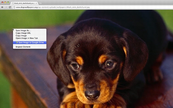 Chrome插件:save to Google drive Chrome插件:save to Google drive